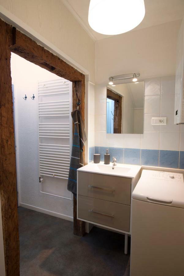 " Martin Schongauer " Apartment Colmar Ngoại thất bức ảnh